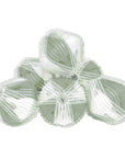 Ideenwelt Lint Roller Set in Green 8-Piece
