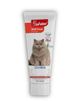 Biofeline Cat Multivitamin Supplement Paste - Boosts Immunity & Coat Health - 100g Biofeline Cat Multivitamin Supplement - Boost Immunity & Coat Health cat multivitamin supplement, feline health support, immune system booster for cats, cat vitamin paste, pet nutritional supplement, cat health, pet supplements, vitamin for cats, coat health, energy booster for cats