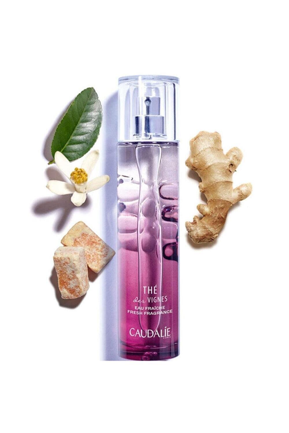 Caudalie Soleil Des Vignes Fresh Fragrance for Women - 100ml Coconut & Jasmine Scent Caudalie Fresh Fragrance for Women - 100ml Women's Fragrance, Fresh Fragrance, Coconut Fragrance, Jasmine Scent, Caudalie Soleil Des Vignes, Floral Fragrance, Natural Fragrance, Long-Lasting Fragrance, Women's Perfume, Gift for Her