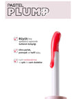 Pastel Plump Up Gloss & Lip to Cheek Tint Makeup Set