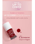 Pastel Plump Up Gloss & Lip to Cheek Tint Makeup Set