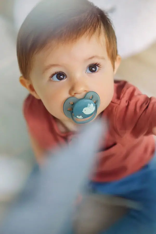 Philips Avent Ultra Soft Pacifiers 6-18M 2-Pack - Blue & Grey