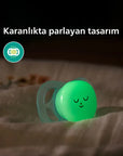 Philips Avent Ultra Start Nighttime Pacifier 0-2M 2-Pack
