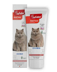 Biofeline Cat Multivitamin Supplement Paste - Boosts Immunity & Coat Health - 100g Biofeline Cat Multivitamin Supplement - Boost Immunity & Coat Health cat multivitamin supplement, feline health support, immune system booster for cats, cat vitamin paste, pet nutritional supplement, cat health, pet supplements, vitamin for cats, coat health, energy booster for cats