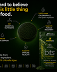 RECOVERYbits® | Small Bag