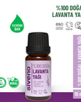 Siveno Natural Lavender Essential Oil for Skin & Hair 10 ml