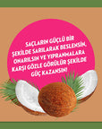 Elidor Coconut Oil Hair Conditioner: Natural, Paraben Free Repair Cream for Damaged Hair - Moisturizing, Cruelty-Free, Coconut Oil Treatment Elidor Coconut Oil Hair Conditioner: Natural Repair for Damaged Hair coconut oil hair conditioner, natural hair conditioner, paraben free conditioner, repairing hair conditioner, cruelty free hair conditioner, damaged hair treatment, moisturizing hair conditioner, Elidor hair conditioner, hair repair cream, coconut oil hair treatment, hair conditioner, natural hair car