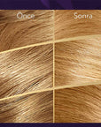 Wella Koleston Supreme: Blonde Hair Dye for 100% Gray Coverage, Intense Color, & Hair Repair - At-Home Hair Coloring Kit Wella Koleston Blonde Hair Dye: Gray Coverage & Vibrant Color hair dye, hair color, at-home hair color, gray hair coverage, wella koleston, permanent hair color, hair coloring kit, blonde hair dye, hair color treatment, hair dye kit, blonde hair, gray coverage, hair health, hair conditioning, at home coloring, hair color cream, hair color treatment, hair color for women, hair color for gr