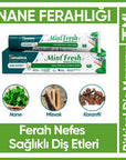 Himalaya Mint Fresh Toothpaste for Long-Lasting Breath 75 ml