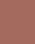 Stellary Lip Liner 09 Cappuccino High Pigment Pencil