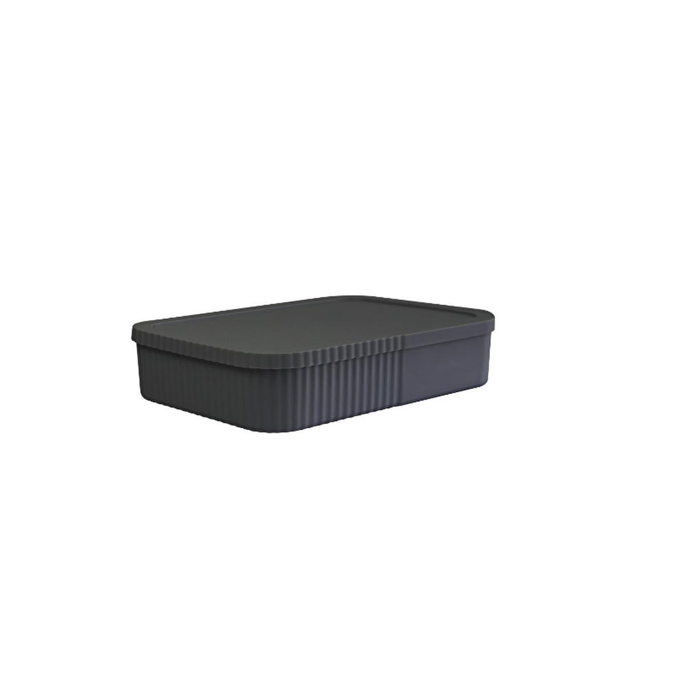 Decobella Storage Box - 6L Capped Organizer for Home & Office - Durable, Versatile, and Compact