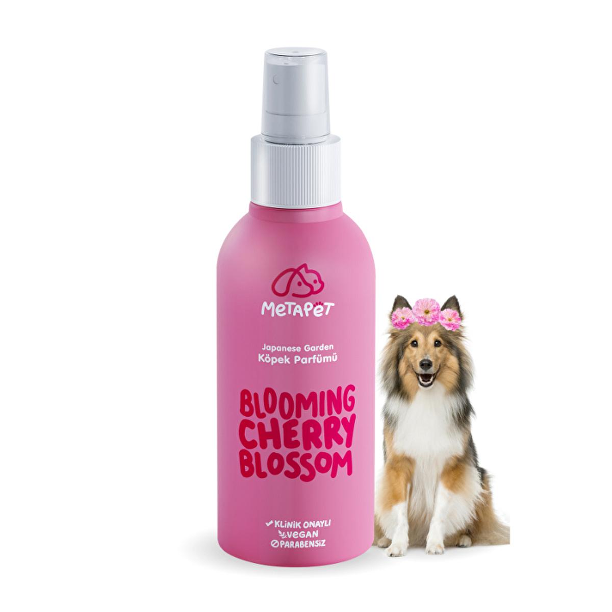 Metapet Natural Pet Perfume - Japanese Cherry Blossom 5.07 fl oz, Paraben-Free, pH Balanced for Pets Metapet Natural Pet Perfume - Japanese Cherry Blossom Scent pet perfume, natural pet fragrance, paraben-free pet grooming, pH balanced pet products, safe for kittens, Japanese Cherry Blossom scent, natural pet care, pet grooming products, chemical-free pet products, pet hygiene, pet freshness, dog perfume, cat perfume