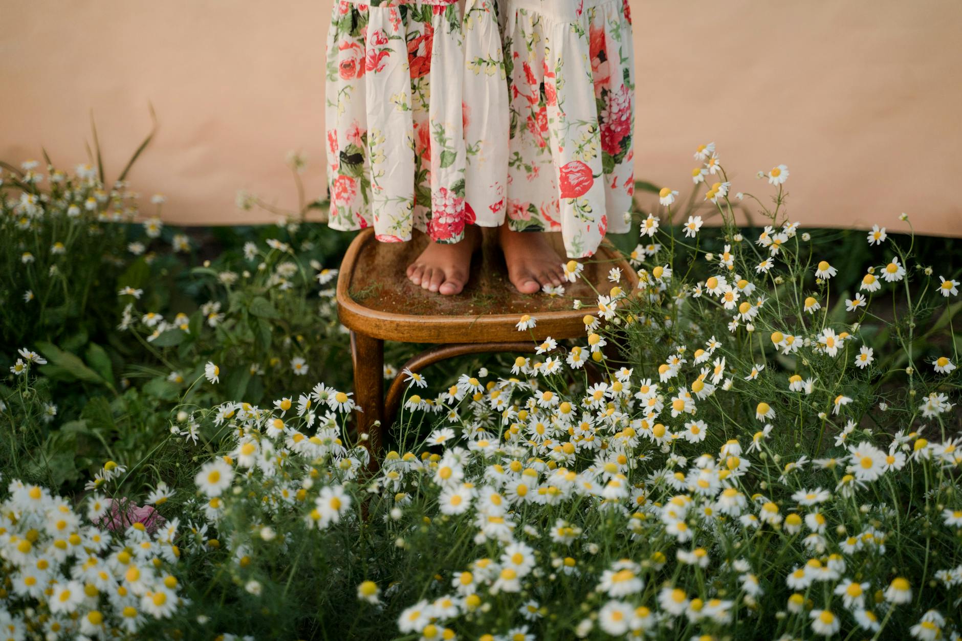 A woman in a floral dress stands barefoot on a stool surrounded by daisies.