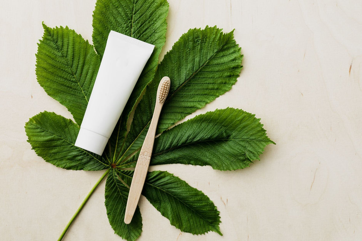 Overhead view of white mockup tube of organic toothpaste and eco friendly bamboo toothbrush placed flat on big green chestnut leaf on light wooden background
