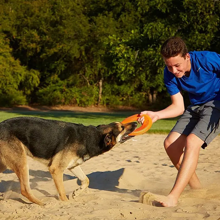 Chuckit Rugged Flyer Extra Durable Dog Frisbee Medium Size