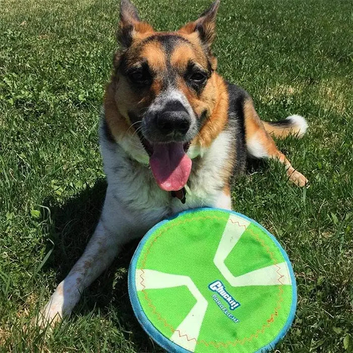 Chuckit Paraflight Max Glow Large Glowing Dog Frisbee Toy