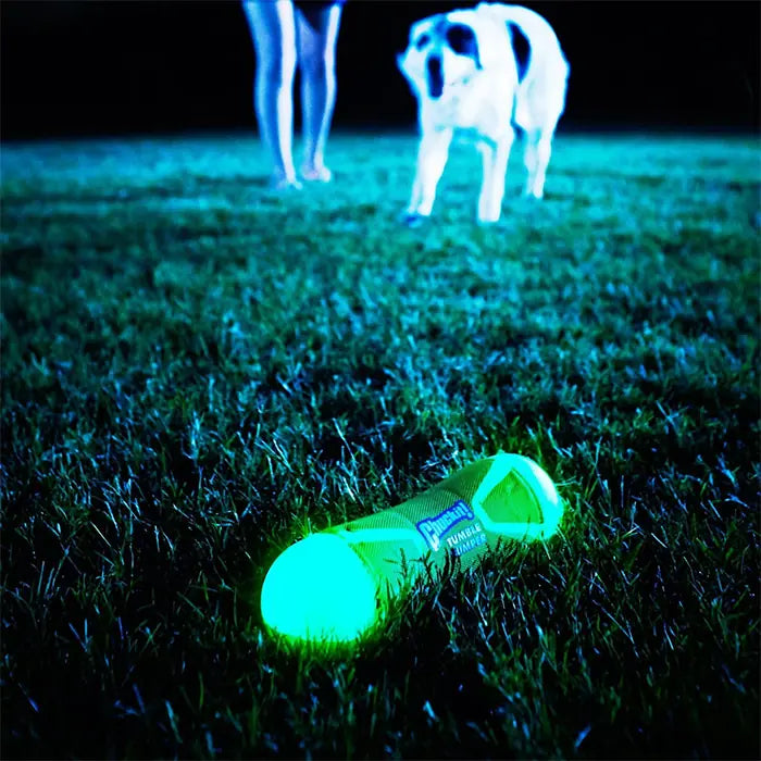 Chuckit Tumble Bumper Max Glow Light-Up Dog Toy Medium
