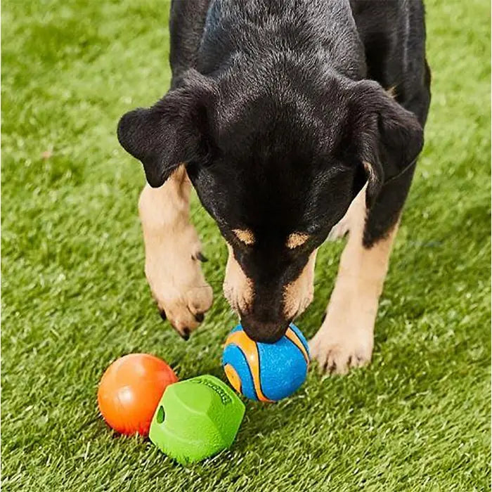 Chuckit Fetch Medley Gen2 Dog Ball Set Medium 3-Pack