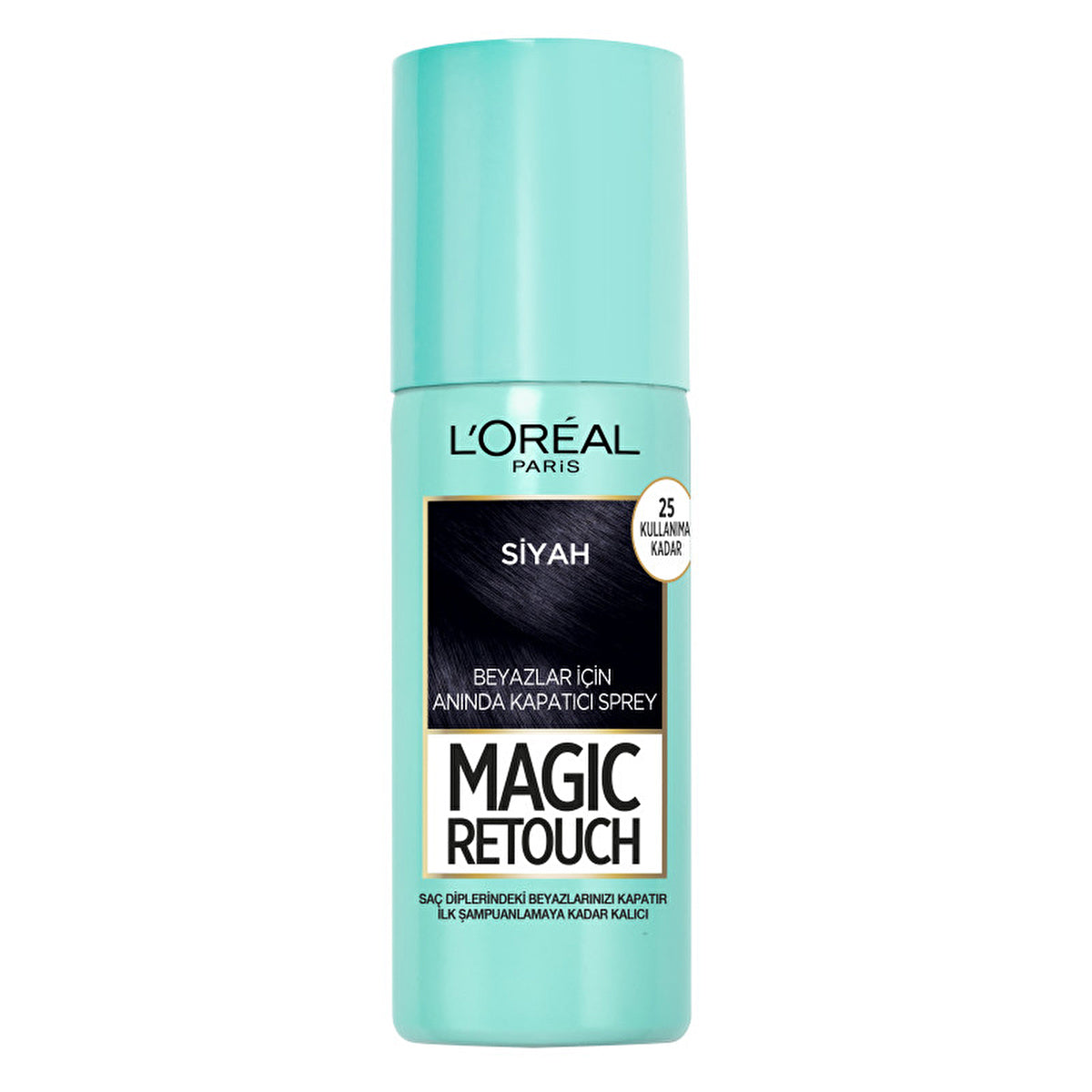 L'Oreal Paris Magic Retouch Black Spray - Instant Gray Coverage | 75ml