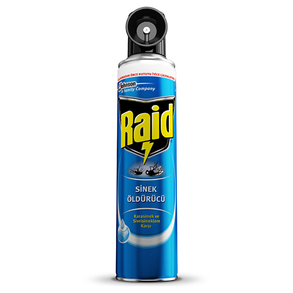 Raid Fly Insect Spray 300 ml - 2 in 1 Solution | Fast Acting