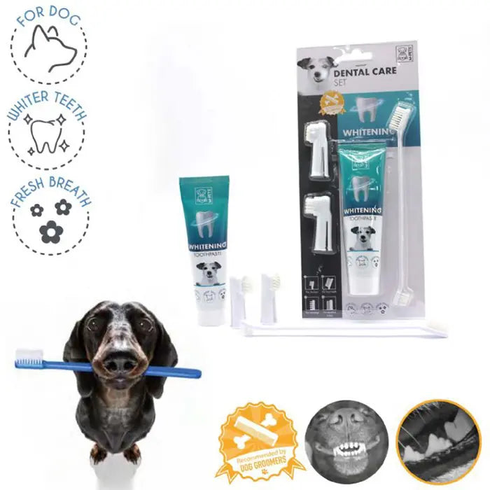 M-Pets Dog Whitening Toothpaste and Brush Set for Oral Care