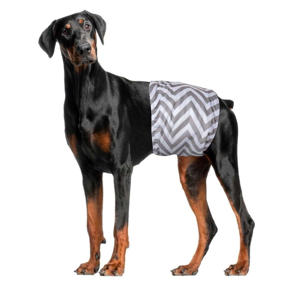 M-Pets Washable Male Dog Diaper Pants 2-Pack XXL with Velcro Closure