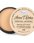 theBalm Anne T. Dotes Concealer 18 - Creamy Coverage | Natural Finish