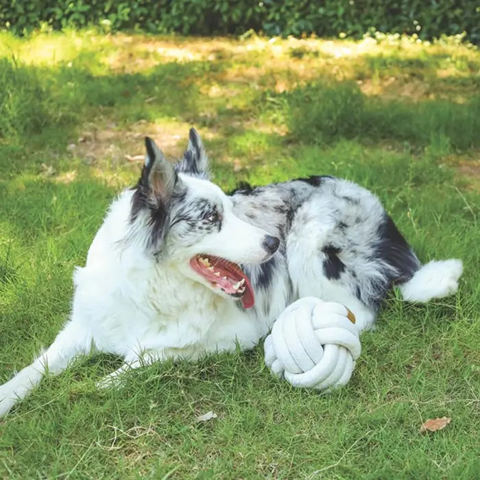 M-Pets Coto White Ball Cotton Rope Dog Toy 15cm