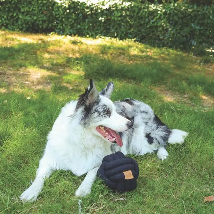 M-Pets Coto Black Ball Braided Cotton Dog Toy 15cm