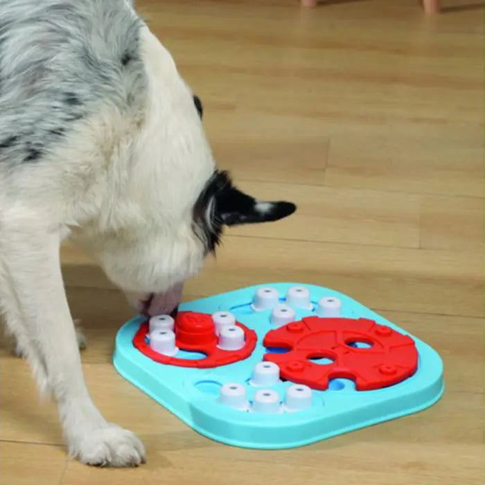 M-Pets Brainy Galileo Level 3 Puzzle Dog Toy for Mental Enrichment