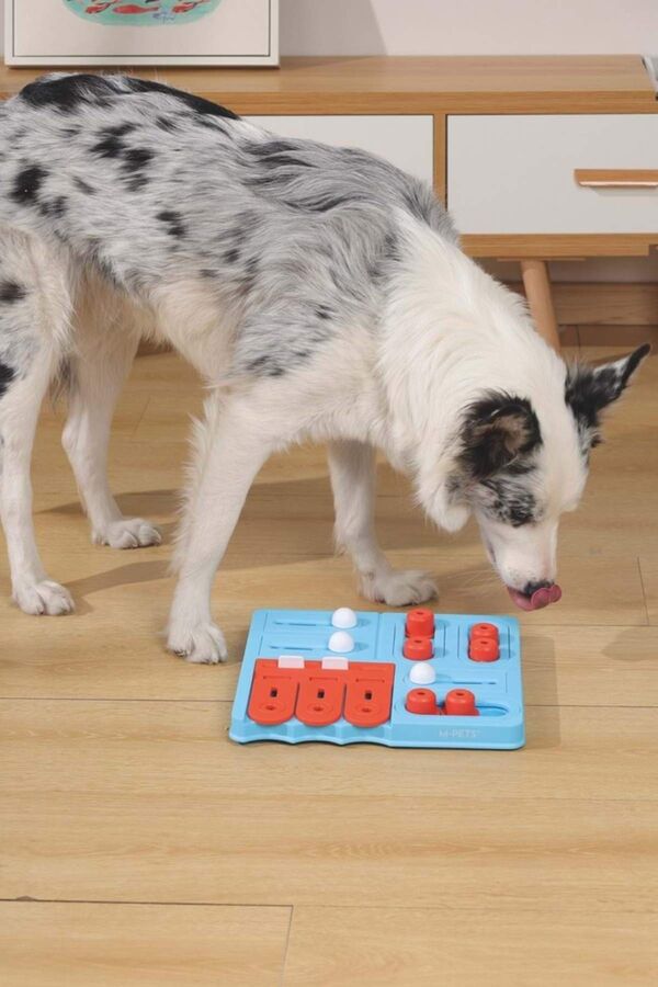 M-Pets Curie Expert Level Dog Puzzle Toy