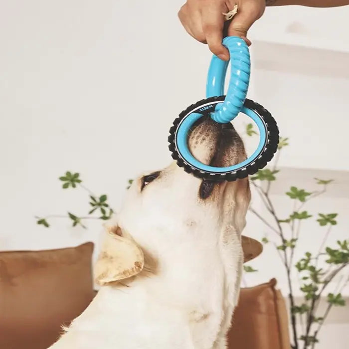 M-Pets Ring King Double Dog Toy Durable Dual Ring Blue & Black