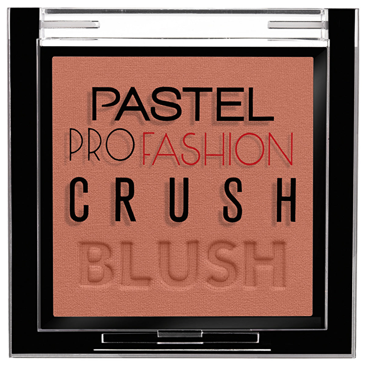 Pastel Profashion Crush Blush 309 - Soft Radiant Finish | Blush