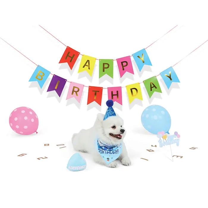M-Pets Party Time Birthday Set for Male Dogs 1 Count