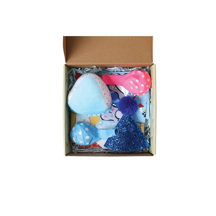 M-Pets Party Time Birthday Set for Male Dogs 1 Count