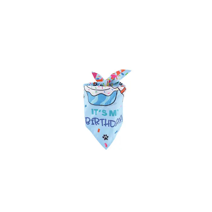 M-Pets Party Time Birthday Set for Male Dogs 1 Count