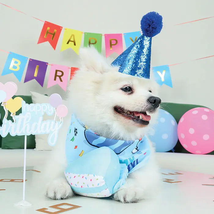 M-Pets Party Time Birthday Set for Male Dogs 1 Count