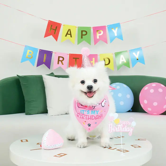 M-Pets Party Time Birthday Set for Female Dogs 1 Pack