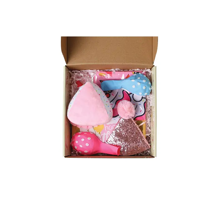 M-Pets Party Time Birthday Set for Female Dogs 1 Pack