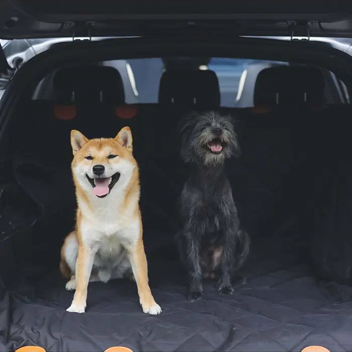 M-Pets Lungo Waterproof Car Seat Cover for Pets 152x59cm