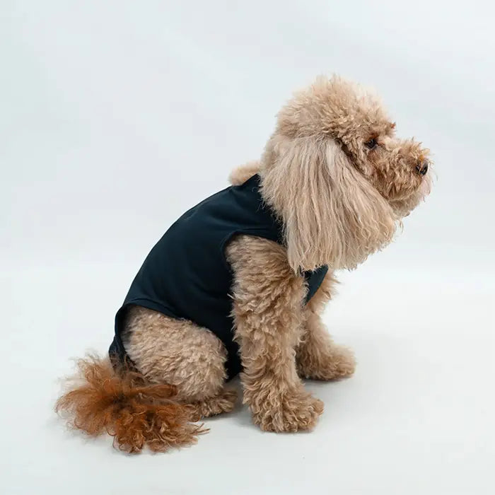 Buddy Store Small Breed Pet Recovery Suit for Cats and Dogs
