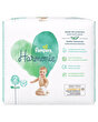 Prima Baby Diapers Harmonie Size 2 - 24 Count | Pure Protection