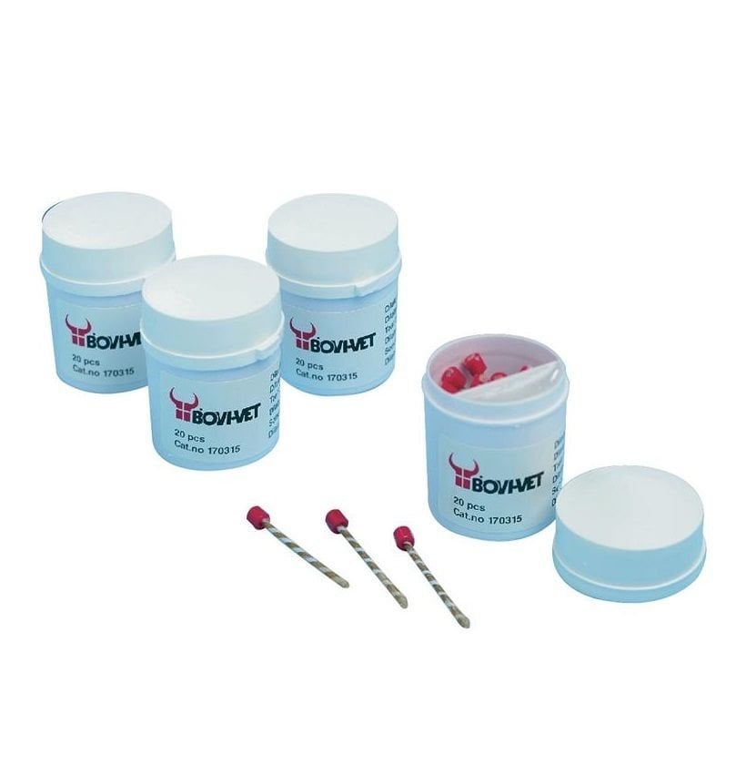 Kruuse Bovivet Bengen Model Teat Cannula with Catgut 20 Count