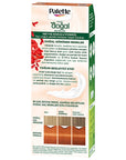 Palette Natural Hair Dye - Permanent Hair Color with Natural Ingredients - 8-77 Tarçın Bakır - view 6