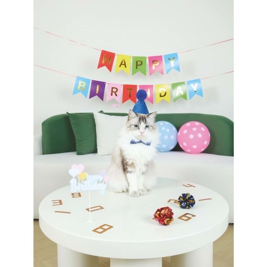 M-Pets Party Time Birthday Set for Male Cats Blue Theme 10 Pieces
