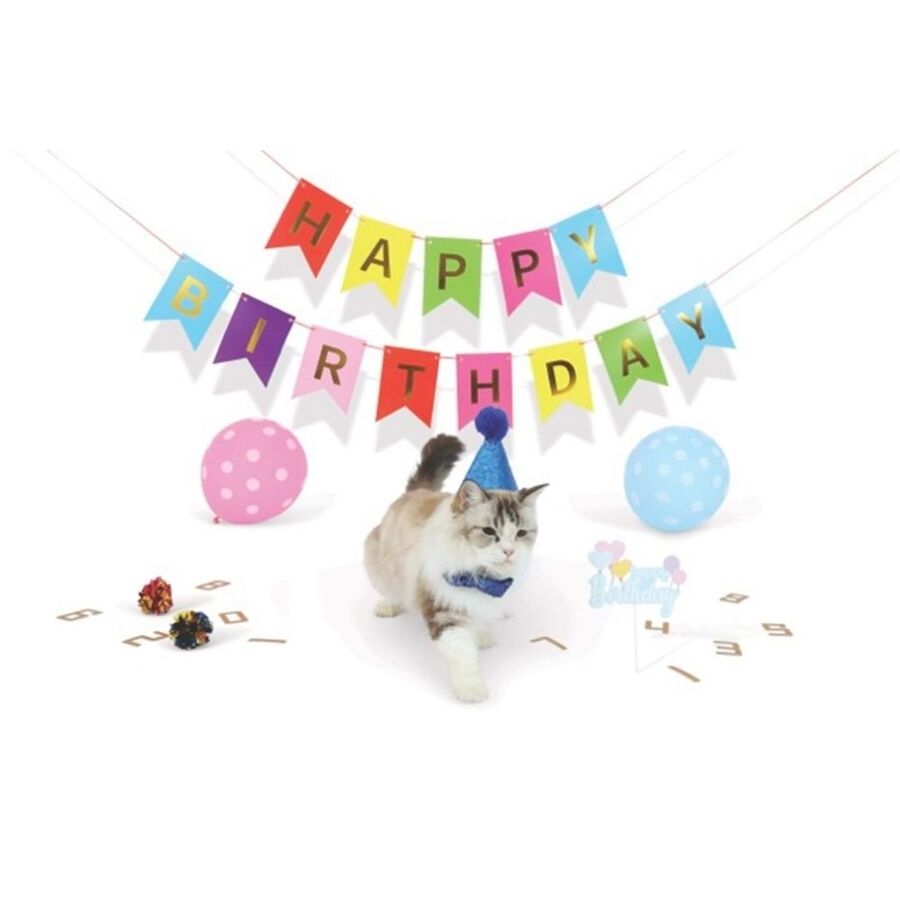 M-Pets Party Time Birthday Set for Male Cats Blue Theme 10 Pieces