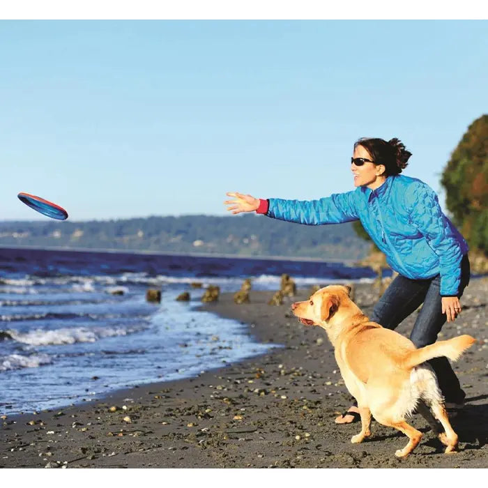 Chuckit Paraflight Flyer Small Aerodynamic Dog Toy