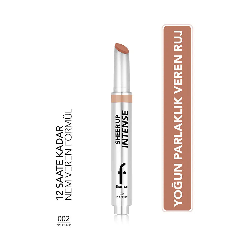 Flormar Sheer Up Lipstick 002 No Filter 3g