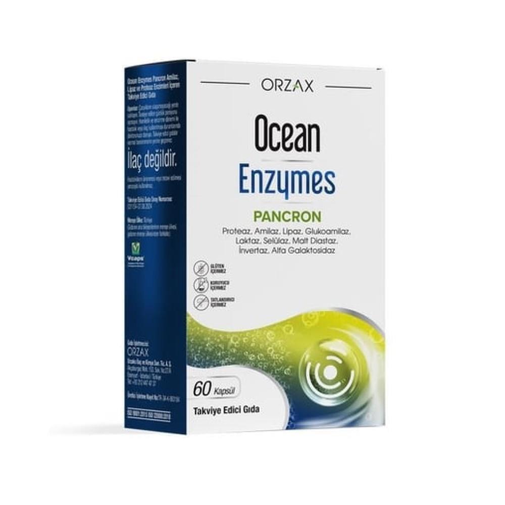 Ocean Enzymes Digestive Enzyme Supplement - 955.3mg Blend, Gluten-Free, Sugar-Free Capsules for Digestive Health Support Ocean Enzymes Digestive Enzyme Supplement - 955.3mg Blend digestive enzyme supplement, gluten-free dietary supplement, sugar-free capsules, enzyme blend for digestion, digestive health support, health supplements, dietary supplements, digestive comfort, nutrient absorption, gluten-free, sugar-free, capsules, Protease, Amylase, Lipase, Glucoamylase, Lactase, Cellulase, Malt Diastase, Inver