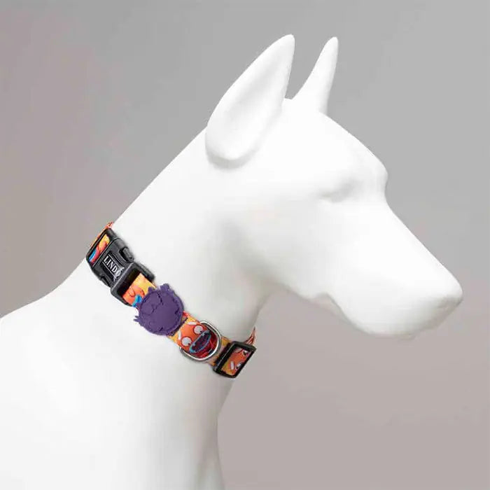 Lindo Ginger Man Dog Collar Small 30-44cm